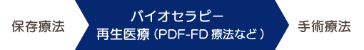 保存療法＞バイオセラピー＞手術療法