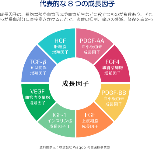 PDF
-FDに含まれる成長因子